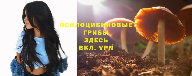 Галлюциногенные грибы Magic Shrooms  ссылка на мегу маркетплейс  Касли  купить наркотик 